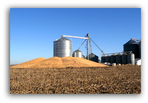 Grain Elevator