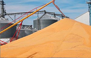 silo-grano-trigo